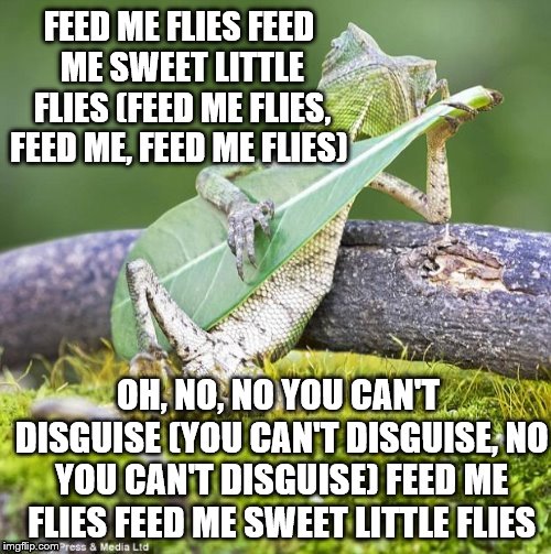 FEED ME FLIES
FEED ME SWEET LITTLE FLIES
(FEED ME FLIES, FEED ME, FEED ME FLIES) OH, NO, NO YOU CAN'T DISGUISE
(YOU CAN'T DISGUISE, NO YOU C | made w/ Imgflip meme maker