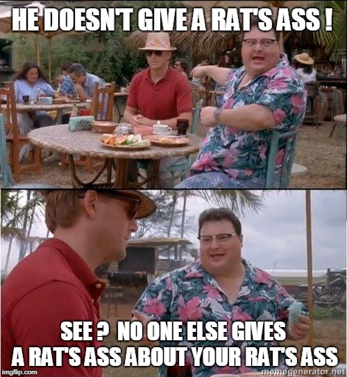 See? No one cares | HE DOESN'T GIVE A RAT'S ASS ! SEE ?  NO ONE ELSE GIVES A RAT'S ASS ABOUT YOUR RAT'S ASS | image tagged in see no one cares | made w/ Imgflip meme maker