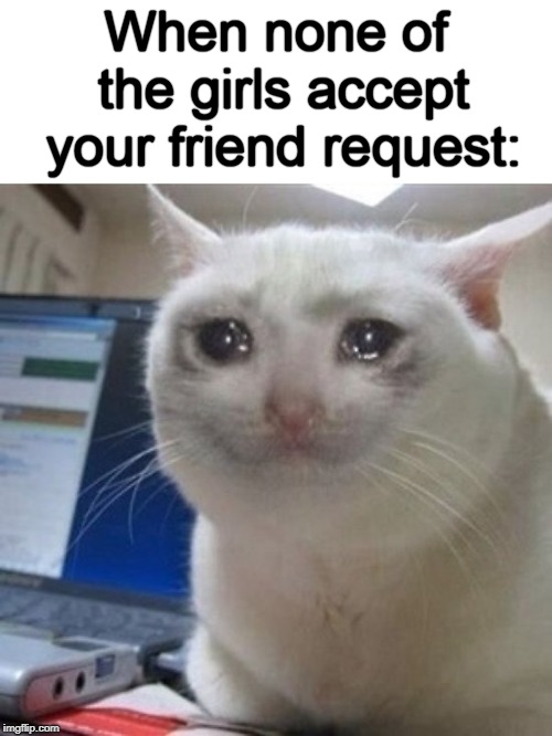 Y U NO accept my friend request? | When none of the girls accept your friend request: | image tagged in funny,crying cat,girls not accepting friend request | made w/ Imgflip meme maker