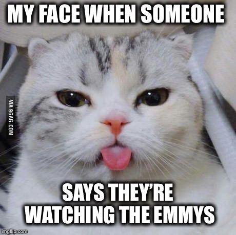 MY FACE WHEN SOMEONE SAYS THEY’RE WATCHING THE EMMYS | made w/ Imgflip meme maker