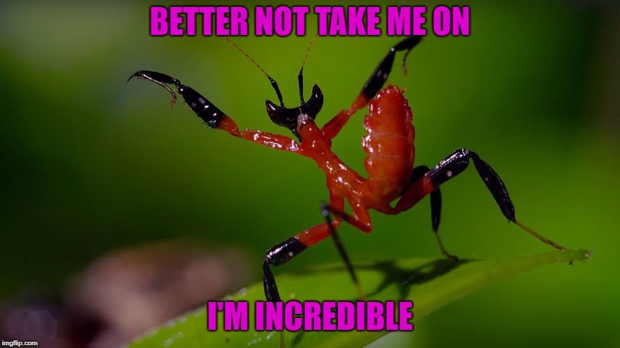 BETTER NOT TAKE ME ON I'M INCREDIBLE | made w/ Imgflip meme maker