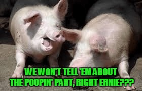 WE WON'T TELL 'EM ABOUT THE POOPIN' PART, RIGHT ERNIE??? | made w/ Imgflip meme maker