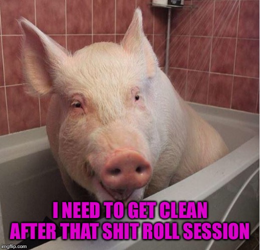 pig in bathtub | I NEED TO GET CLEAN AFTER THAT SHIT ROLL SESSION | image tagged in pig in bathtub | made w/ Imgflip meme maker