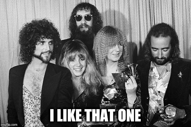 Fleetwood Mac | I LIKE THAT ONE | image tagged in fleetwood mac | made w/ Imgflip meme maker