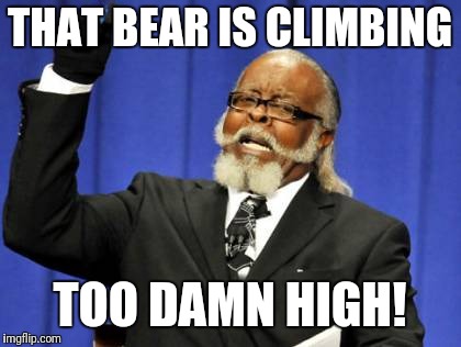 Too Damn High Meme | THAT BEAR IS CLIMBING TOO DAMN HIGH! | image tagged in memes,too damn high | made w/ Imgflip meme maker