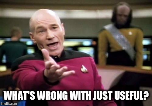 Picard Wtf Meme | WHAT'S WRONG WITH JUST USEFUL? | image tagged in memes,picard wtf | made w/ Imgflip meme maker