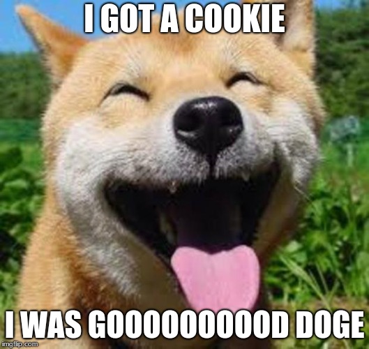 Happy Doge | I GOT A COOKIE; I WAS GOOOOOOOOOD DOGE | image tagged in happy doge | made w/ Imgflip meme maker