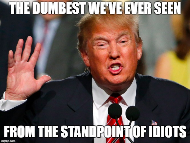 THE DUMBEST WE'VE EVER SEEN; FROM THE STANDPOINT OF IDIOTS | image tagged in trump,notmypresident | made w/ Imgflip meme maker