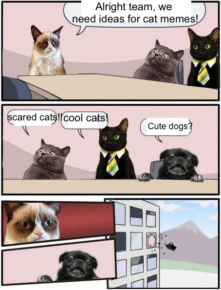 Purrfect Boardroom Meeting Suggestion | Alright team, we need ideas for cat memes! scared cats!! cool cats! Cute dogs? | image tagged in memes,boardroom meeting suggestion,grumpy cat,business cat,surprised cat | made w/ Imgflip meme maker