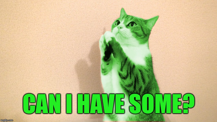 RayCat Pray | CAN I HAVE SOME? | image tagged in raycat pray | made w/ Imgflip meme maker