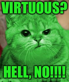 RayCat Annoyed | VIRTUOUS? HELL, NO!!!! | image tagged in raycat annoyed | made w/ Imgflip meme maker