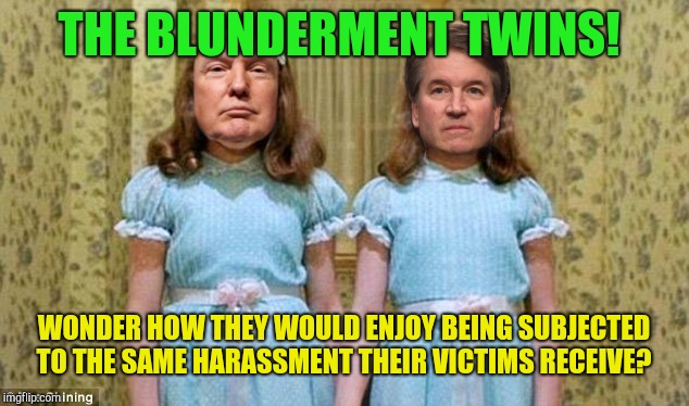 grab them by the p***y twins | THE BLUNDERMENT TWINS! WONDER HOW THEY WOULD ENJOY BEING SUBJECTED TO THE SAME HARASSMENT THEIR VICTIMS RECEIVE? | image tagged in grab them by the py twins,donald trump,brett kavanaugh,sexual harassment | made w/ Imgflip meme maker
