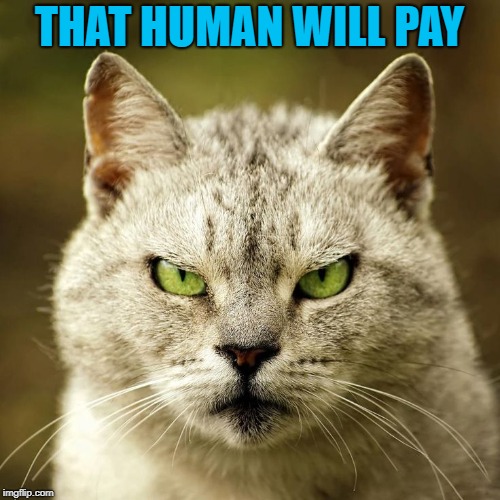 THAT HUMAN WILL PAY | made w/ Imgflip meme maker