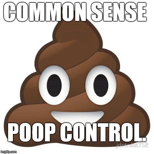 poop | COMMON SENSE POOP CONTROL. | image tagged in poop | made w/ Imgflip meme maker