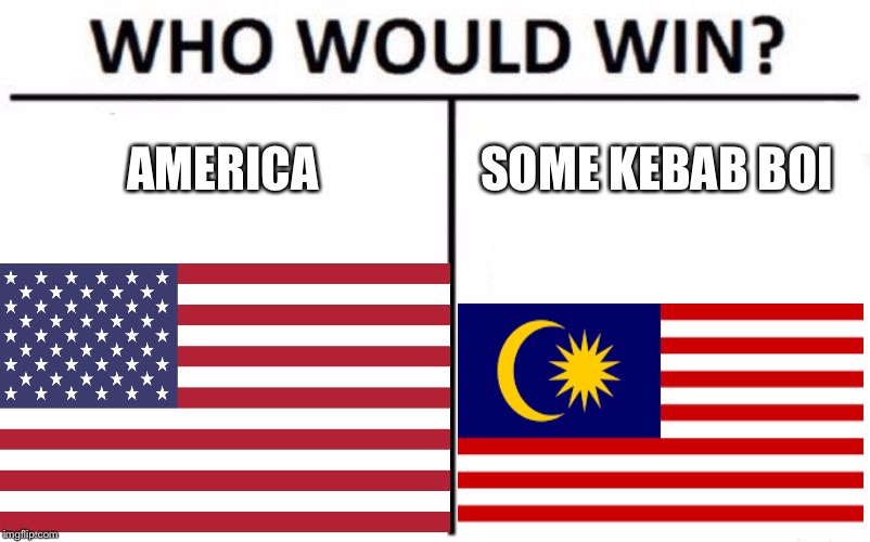 Who Would Win? Meme | AMERICA SOME KEBAB BOI | image tagged in memes,who would win | made w/ Imgflip meme maker