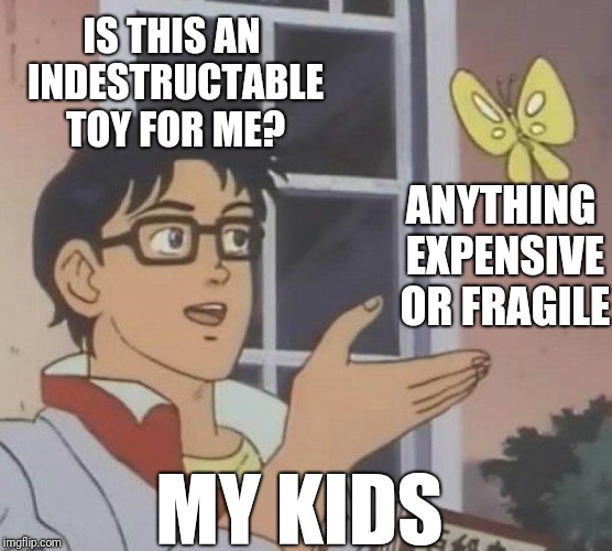 Is This A Pigeon Meme | IS THIS AN INDESTRUCTABLE TOY FOR ME? ANYTHING EXPENSIVE OR FRAGILE; MY KIDS | image tagged in memes,is this a pigeon | made w/ Imgflip meme maker
