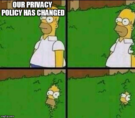 Homer Simpson in Bush - Large | OUR PRIVACY POLICY HAS CHANGED | image tagged in homer simpson in bush - large | made w/ Imgflip meme maker