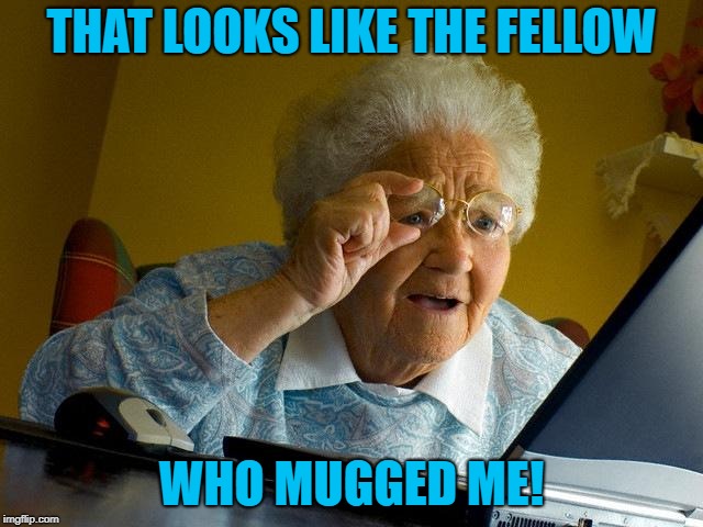 Grandma Finds The Internet Meme | THAT LOOKS LIKE THE FELLOW WHO MUGGED ME! | image tagged in memes,grandma finds the internet | made w/ Imgflip meme maker