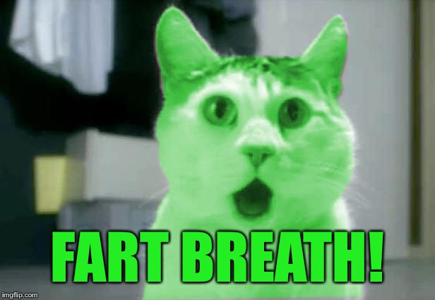 OMG RayCat | FART BREATH! | image tagged in omg raycat | made w/ Imgflip meme maker