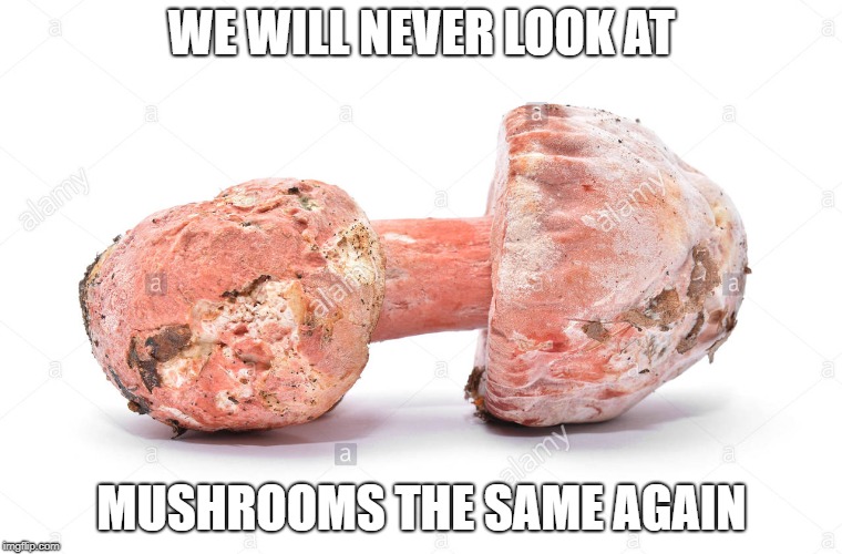 WE WILL NEVER LOOK AT; MUSHROOMS THE SAME AGAIN | image tagged in trump,mushroom | made w/ Imgflip meme maker