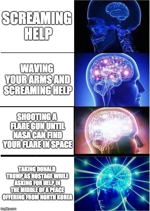 I NEED HELP!! | SCREAMING HELP; WAVING YOUR ARMS AND SCREAMING HELP; SHOOTING A FLARE GUN UNTIL NASA CAN FIND YOUR FLARE IN SPACE; TAKING DONALD TRUMP AS HOSTAGE WHILE ASKING FOR HELP IN THE MIDDLE OF A PEACE OFFERING FROM NORTH KOREA | image tagged in memes,expanding brain | made w/ Imgflip meme maker