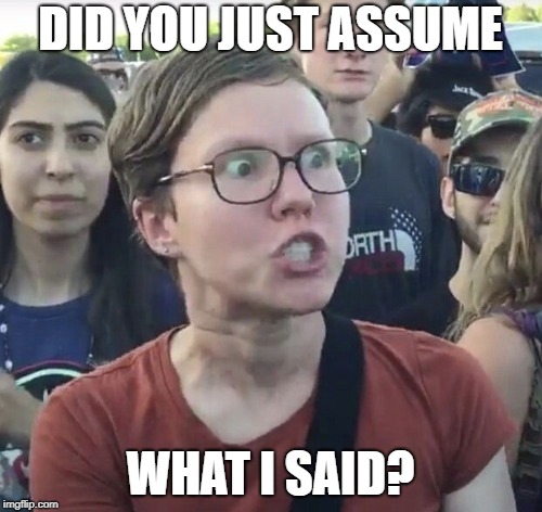 Triggered feminist | DID YOU JUST ASSUME WHAT I SAID? | image tagged in triggered feminist | made w/ Imgflip meme maker