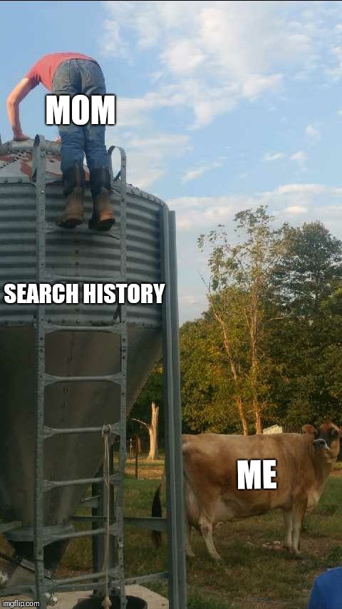 MOM; SEARCH HISTORY; ME | image tagged in stupid milk cow | made w/ Imgflip meme maker