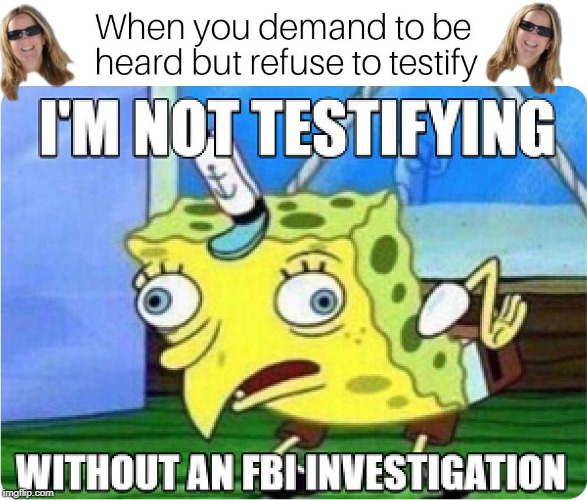 What I think of Christine Blasey Ford | image tagged in christine blasey ford,kavanaugh,maga,politics,trump | made w/ Imgflip meme maker