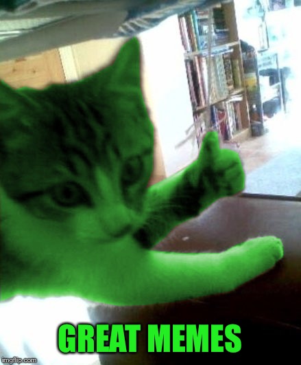 thumbs up RayCat | GREAT MEMES | image tagged in thumbs up raycat | made w/ Imgflip meme maker