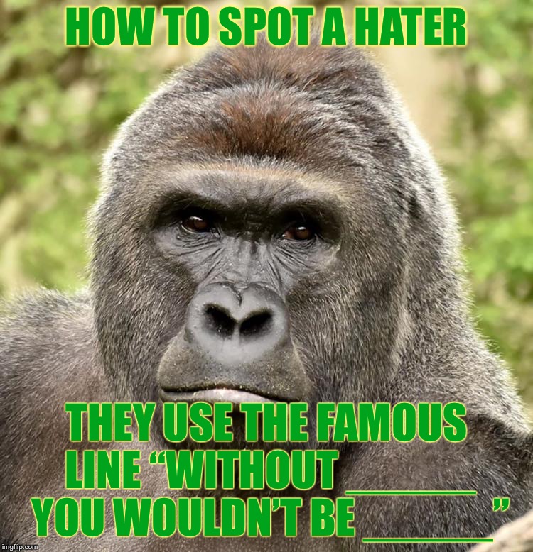 Har | HOW TO SPOT A HATER; THEY USE THE FAMOUS LINE “WITHOUT _____ YOU WOULDN’T BE _____” | image tagged in har | made w/ Imgflip meme maker