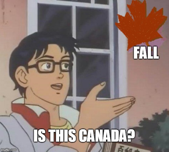 why not both | FALL; IS THIS CANADA? | image tagged in memes,is this a pigeon | made w/ Imgflip meme maker