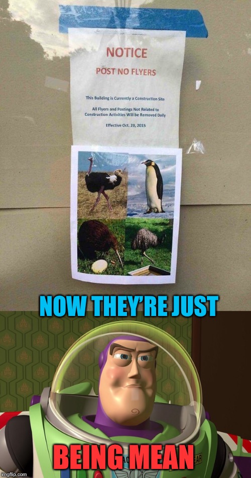 No Fly Zone | NOW THEY’RE JUST; BEING MEAN | image tagged in notice,post,no,fly,birds,buzz lightyear | made w/ Imgflip meme maker