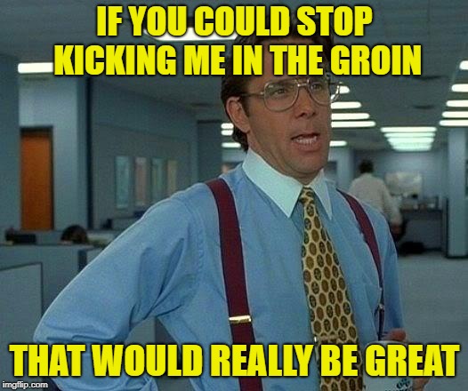 That Would Be Great Meme | IF YOU COULD STOP KICKING ME IN THE GROIN THAT WOULD REALLY BE GREAT | image tagged in memes,that would be great | made w/ Imgflip meme maker