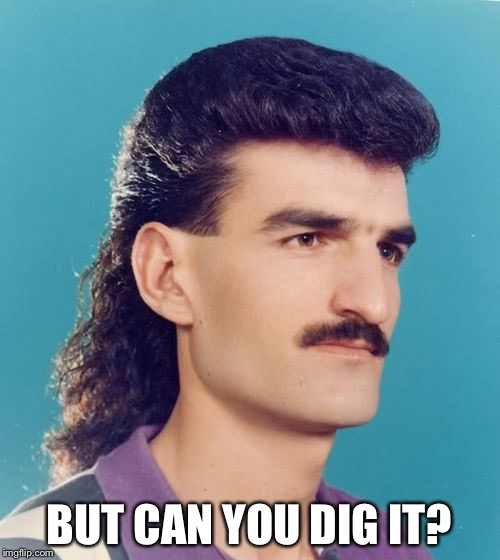mullet  | BUT CAN YOU DIG IT? | image tagged in mullet | made w/ Imgflip meme maker