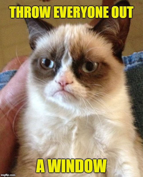 Grumpy Cat Meme | THROW EVERYONE OUT A WINDOW | image tagged in memes,grumpy cat | made w/ Imgflip meme maker