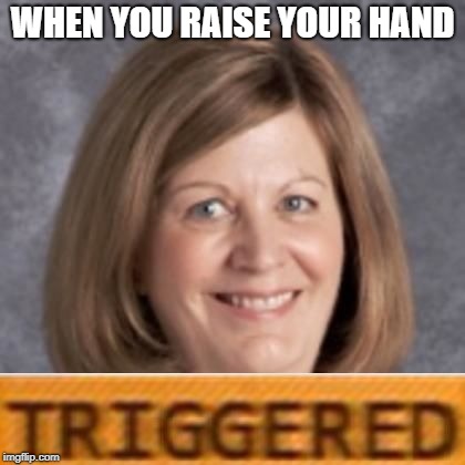 WHEN YOU RAISE YOUR HAND | image tagged in msfricke | made w/ Imgflip meme maker