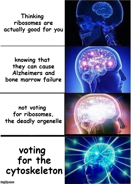 Expanding Brain Meme | Thinking ribosomes are actually good for you; knowing that they can cause Alzheimers and bone marrow failure; not voting for ribosomes, the deadly orgenelle; voting for the cytoskeleton | image tagged in memes,expanding brain | made w/ Imgflip meme maker