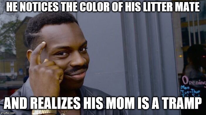 Roll Safe Think About It Meme | HE NOTICES THE COLOR OF HIS LITTER MATE AND REALIZES HIS MOM IS A TRAMP | image tagged in memes,roll safe think about it | made w/ Imgflip meme maker