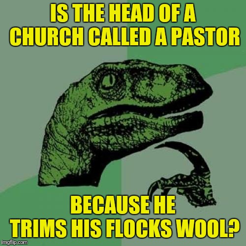 Philosoraptor Meme | IS THE HEAD OF A CHURCH CALLED A PASTOR; BECAUSE HE TRIMS HIS FLOCKS WOOL? | image tagged in memes,philosoraptor | made w/ Imgflip meme maker