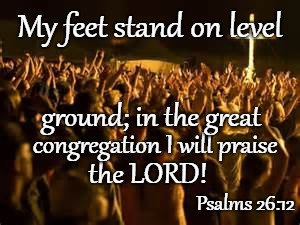 Psalms 26:12 My Feet Stand On Level Ground | My feet stand on level; ground; in the great; congregation I will praise; the LORD! Psalms 26:12 | image tagged in bible,holy bible,holy spirit,bible verse,verse,god | made w/ Imgflip meme maker