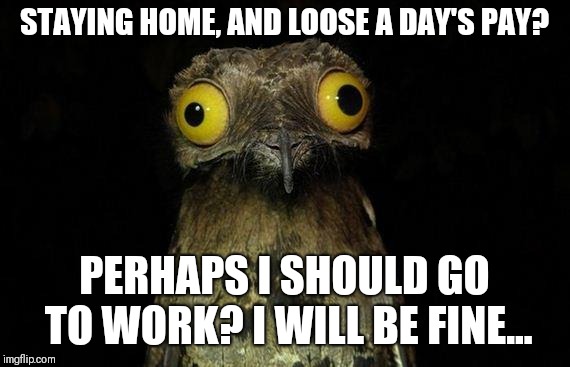 Weird Stuff I Do Potoo Meme | STAYING HOME, AND LOOSE A DAY'S PAY? PERHAPS I SHOULD GO TO WORK? I WILL BE FINE... | image tagged in memes,weird stuff i do potoo | made w/ Imgflip meme maker
