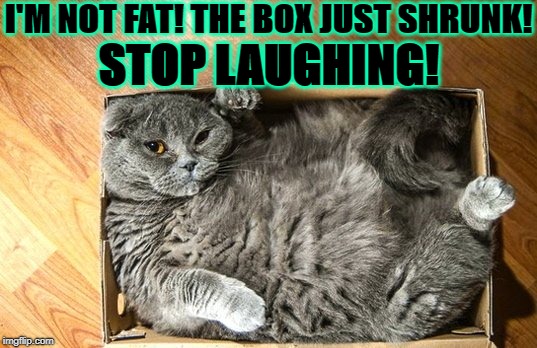 I FITS | I'M NOT FAT! THE BOX JUST SHRUNK! STOP LAUGHING! | image tagged in i fits | made w/ Imgflip meme maker