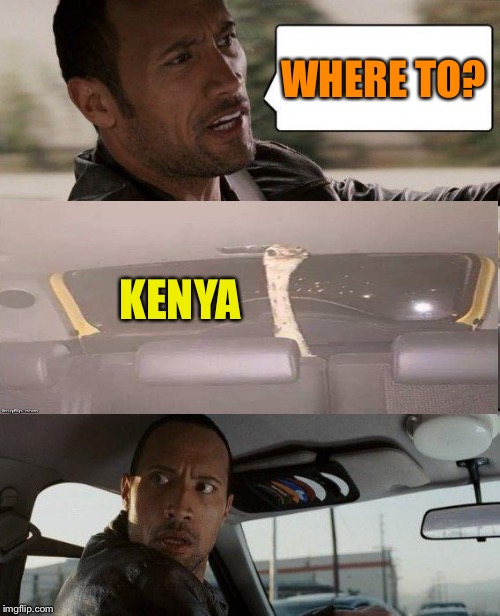 Well, that's a pretty good fare. | WHERE TO? KENYA | image tagged in memes,the rock driving,ostrich,funny | made w/ Imgflip meme maker