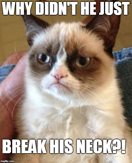 Grumpy Cat Meme | WHY DIDN'T HE JUST BREAK HIS NECK?! | image tagged in memes,grumpy cat | made w/ Imgflip meme maker