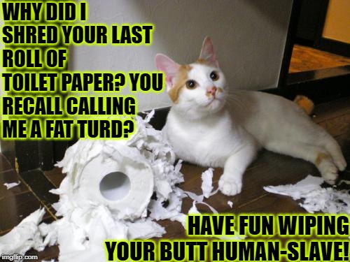 WHY DID I SHRED YOUR LAST ROLL OF TOILET PAPER? YOU RECALL CALLING ME A FAT TURD? HAVE FUN WIPING YOUR BUTT HUMAN-SLAVE! | image tagged in butt wipe | made w/ Imgflip meme maker
