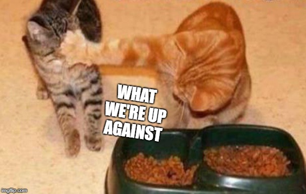 WHAT WE'RE UP AGAINST | image tagged in friends | made w/ Imgflip meme maker
