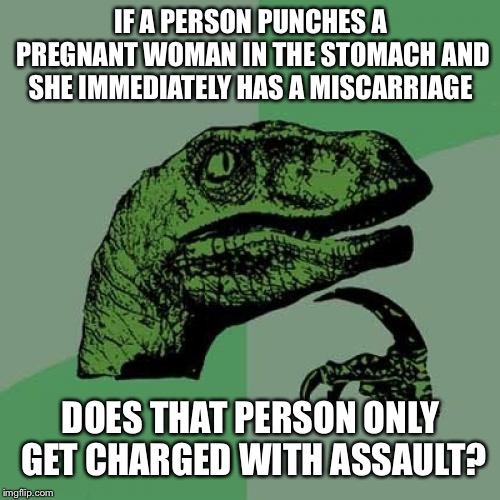 Philosoraptor Meme | IF A PERSON PUNCHES A PREGNANT WOMAN IN THE STOMACH AND SHE IMMEDIATELY HAS A MISCARRIAGE DOES THAT PERSON ONLY GET CHARGED WITH ASSAULT? | image tagged in memes,philosoraptor | made w/ Imgflip meme maker