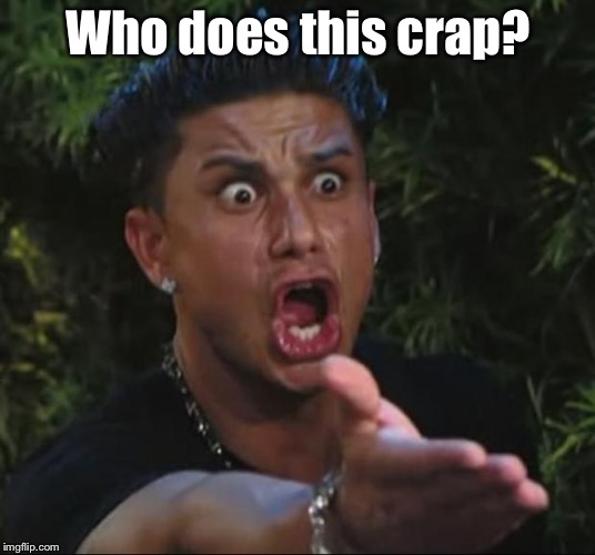 DJ Pauly D Meme | Who does this crap? | image tagged in memes,dj pauly d | made w/ Imgflip meme maker