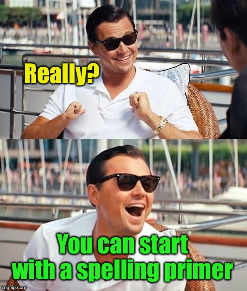 Leonardo Dicaprio Wolf Of Wall Street Meme | Really? You can start with a spelling primer | image tagged in memes,leonardo dicaprio wolf of wall street | made w/ Imgflip meme maker