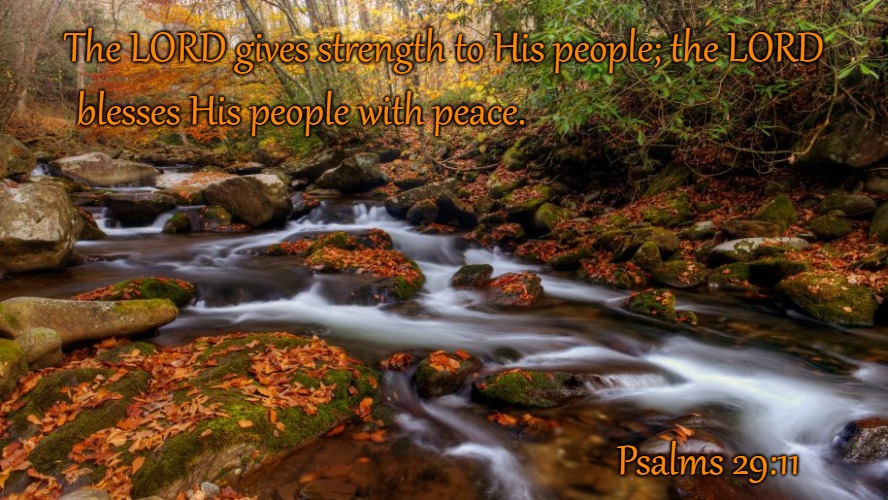 Psalms 29:11 The Lord Gives Strength To His People And Blesses His People With Peace | The LORD gives strength to His people; the LORD; blesses His people with peace. Psalms 29:11 | image tagged in bible,holy bible,holy spirit,bible verse,verse,god | made w/ Imgflip meme maker